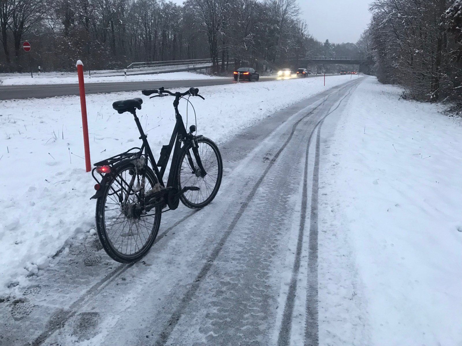 Winter.jpg