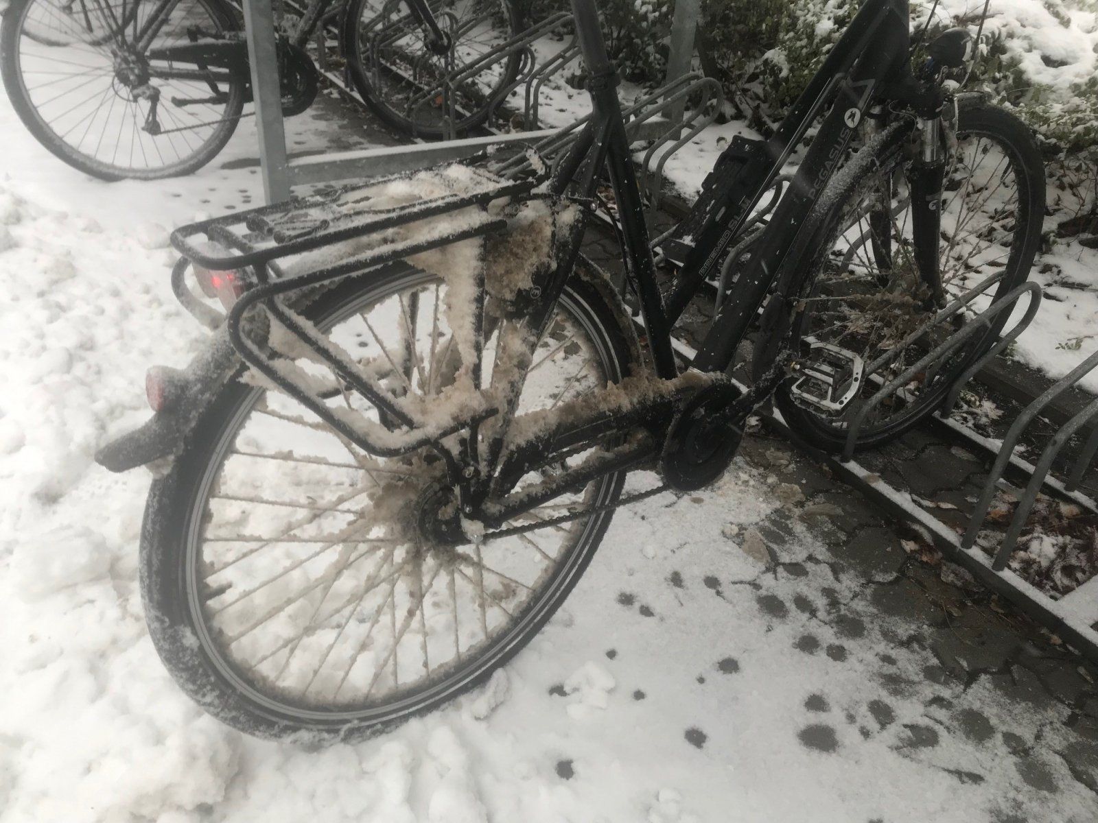 Winter2.jpg
