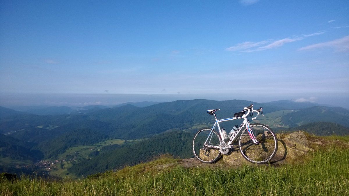 WP_20150607_006.jpg