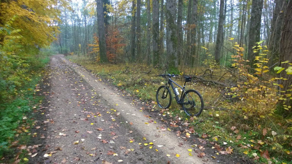 WP_20151101_001.jpg