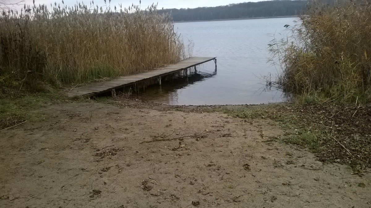 WP_20151112_003.jpg