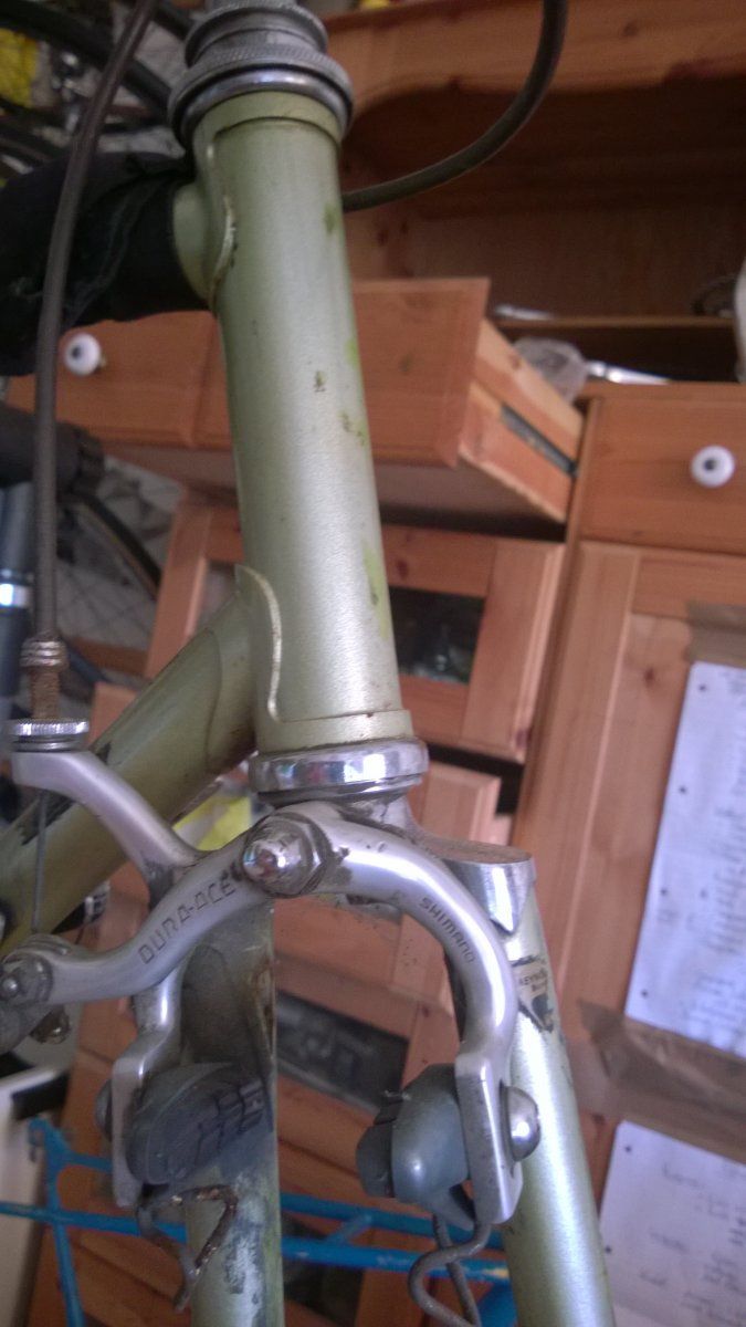 WP_20160212_004.jpg WP_20160212_004.jpg