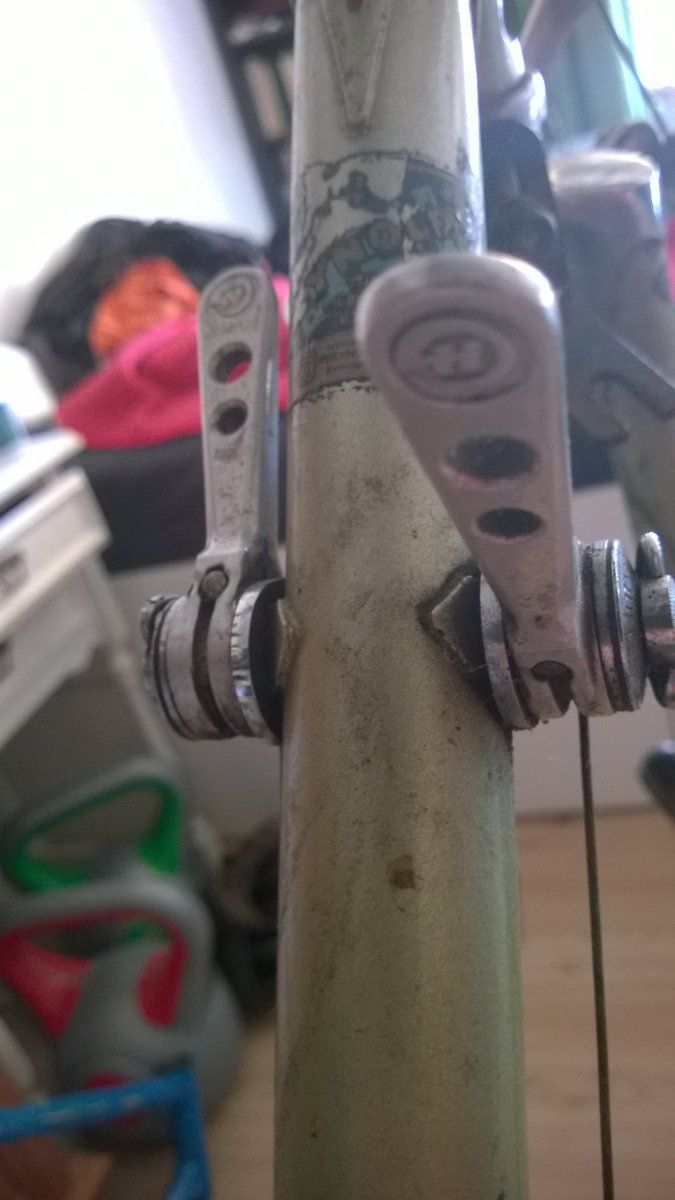 WP_20160212_006.jpg WP_20160212_006.jpg