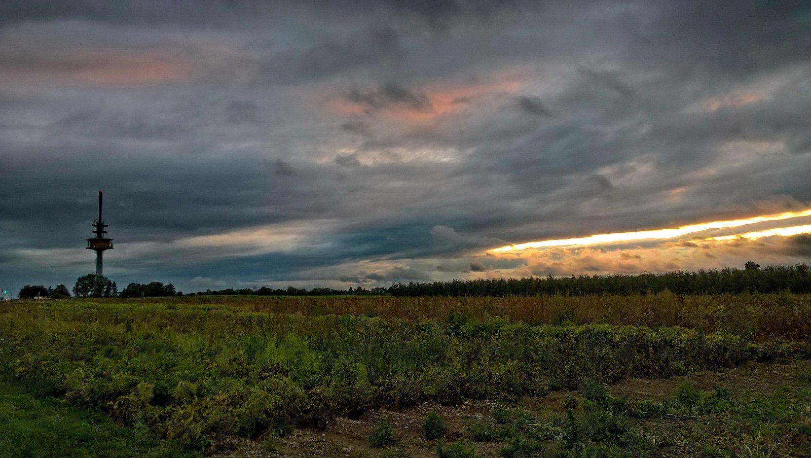 WP_20210829_20_00_36_Pro.jpg