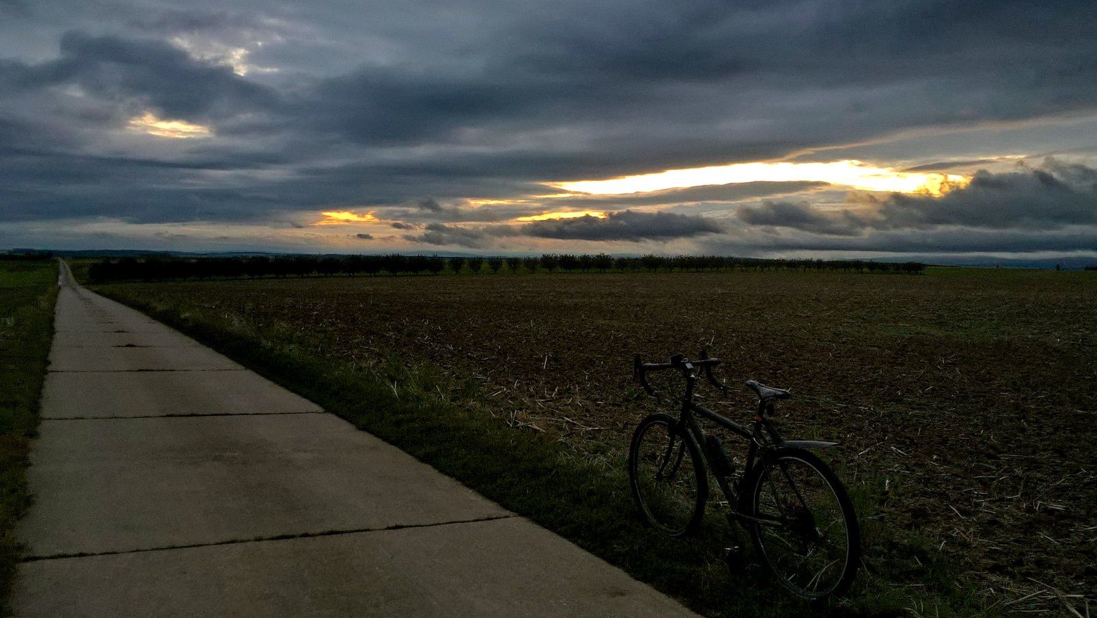 WP_20210829_20_23_47_Pro.jpg