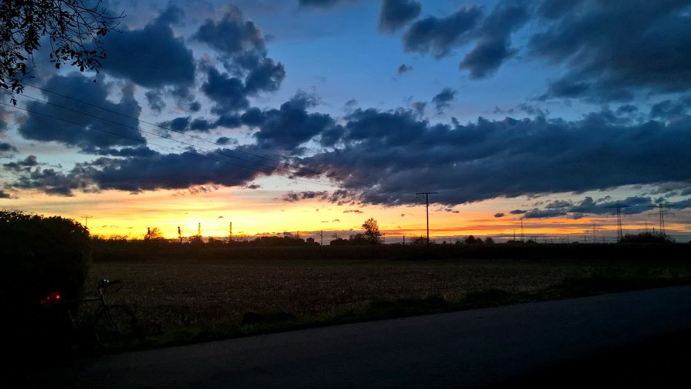 WP_20211031_17_27_53_Pro.jpg