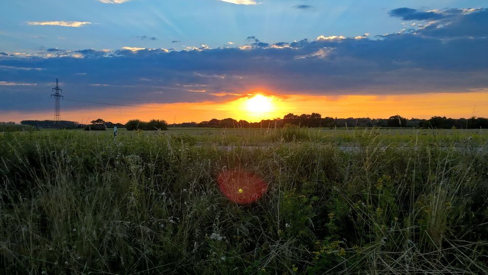 WP_20220804_20_30_17_Pro.jpg