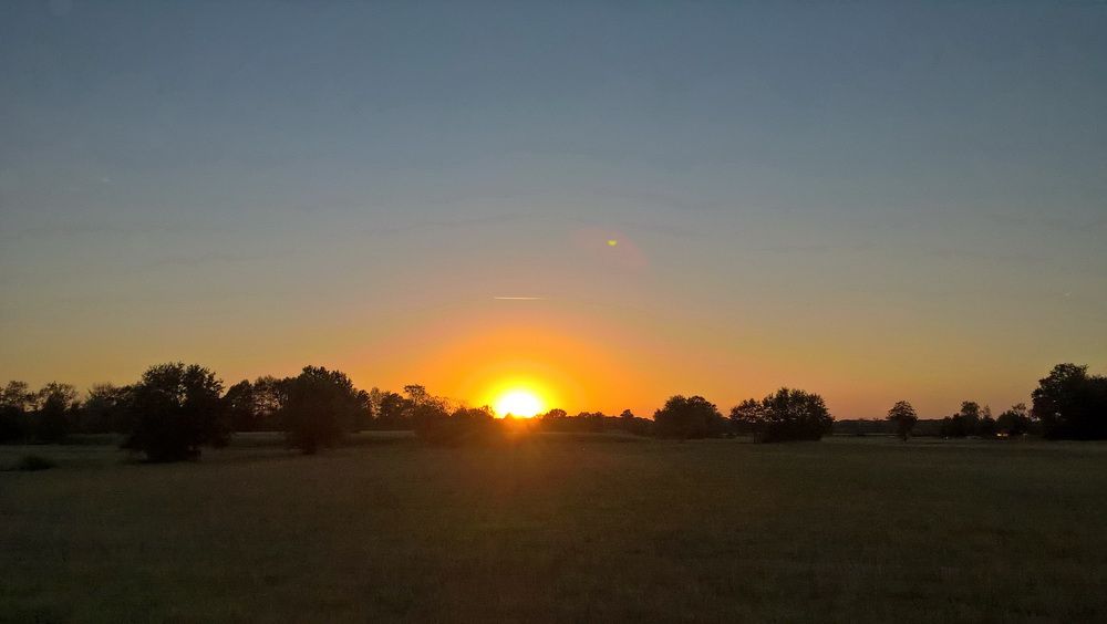 WP_20220809_20_40_27_Pro.jpg