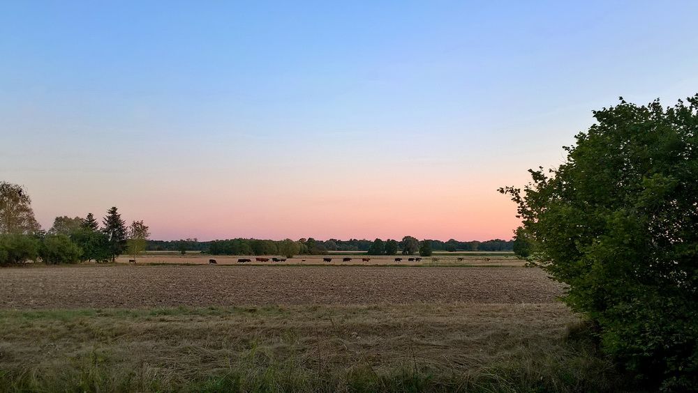 WP_20220809_20_43_58_Pro.jpg