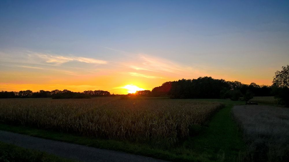 WP_20220911_19_39_41_Pro.jpg