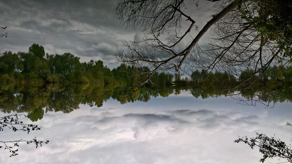 WP_20220929_17_02_55_Pro.jpg