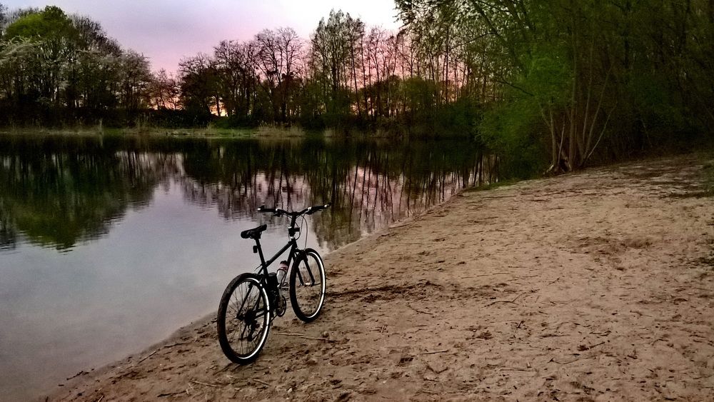 WP_20230415_20_19_08_Pro.jpg