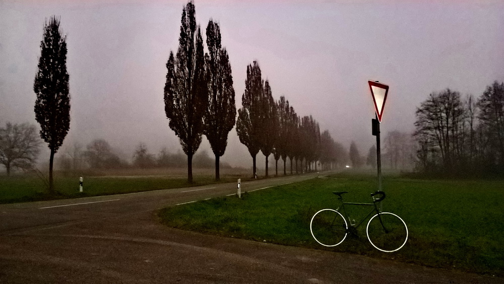 WP_20241228_16_55_14_Pro.jpg