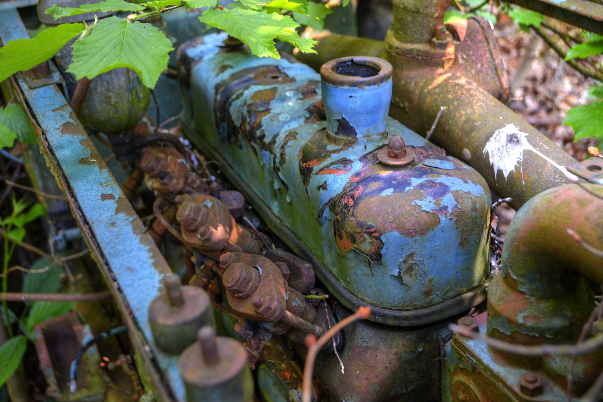 Wrack im Wald.jpg