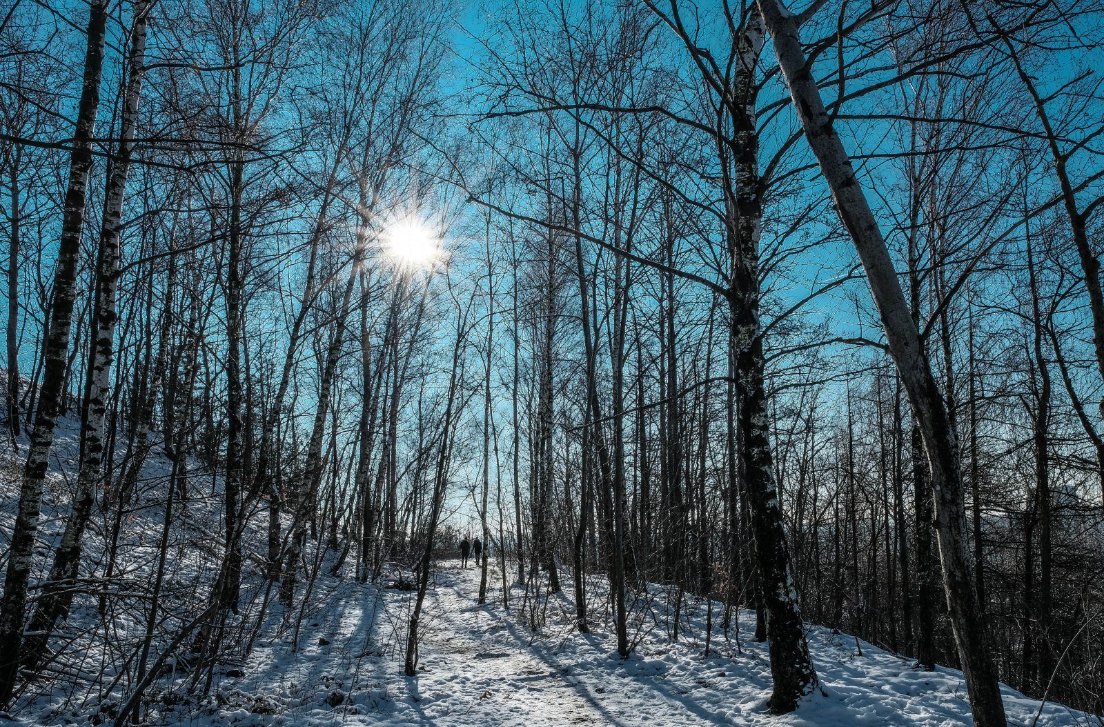 XT226119-2.jpg