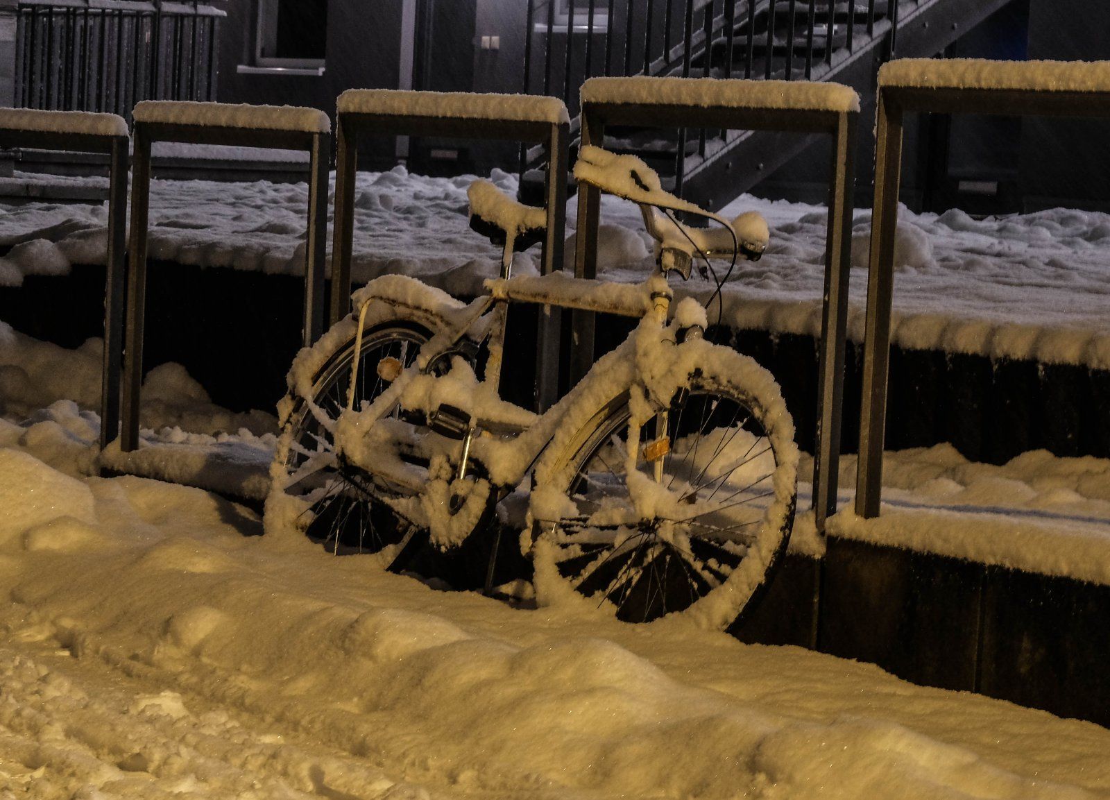 XT226156.jpg