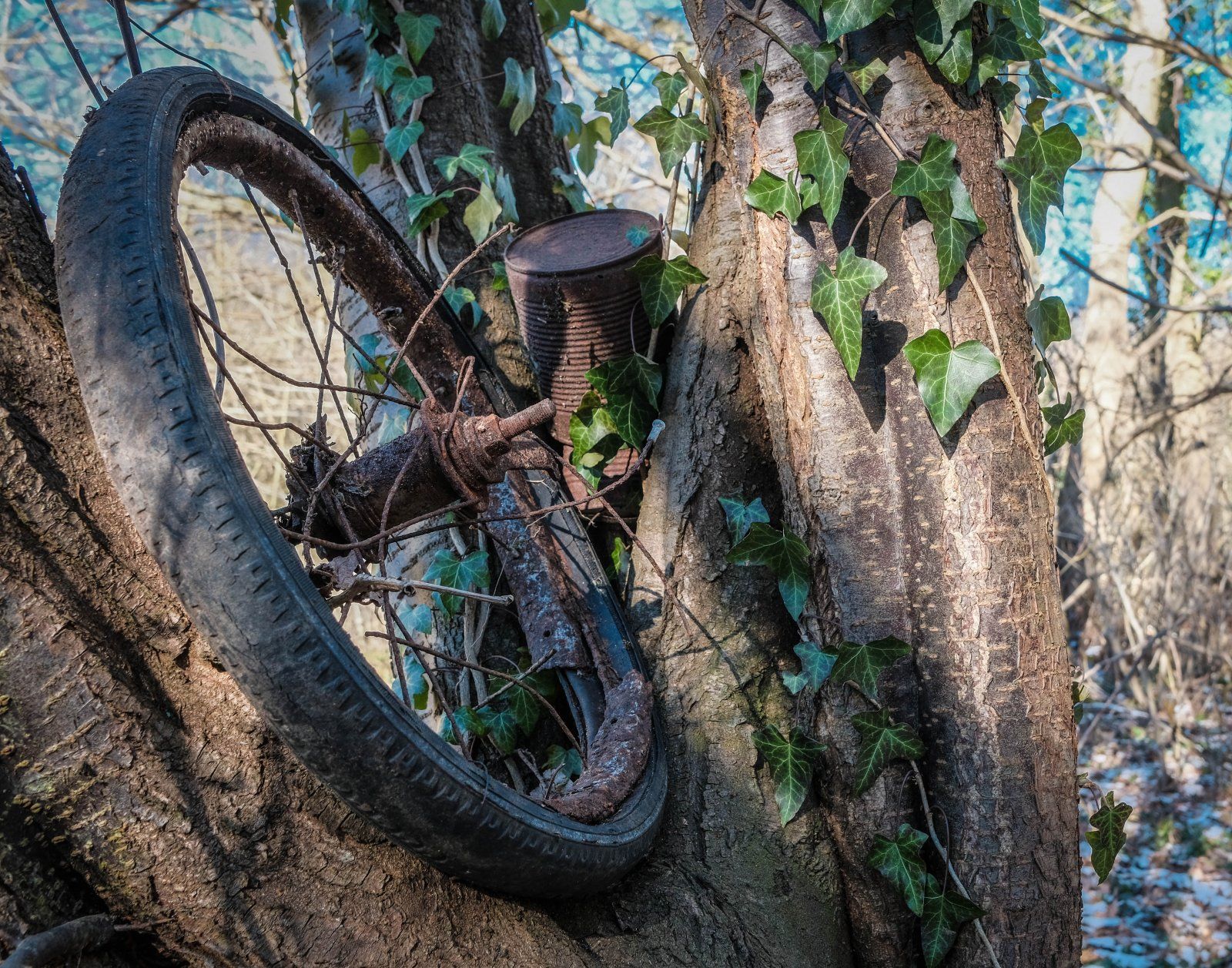 XT226511.jpg