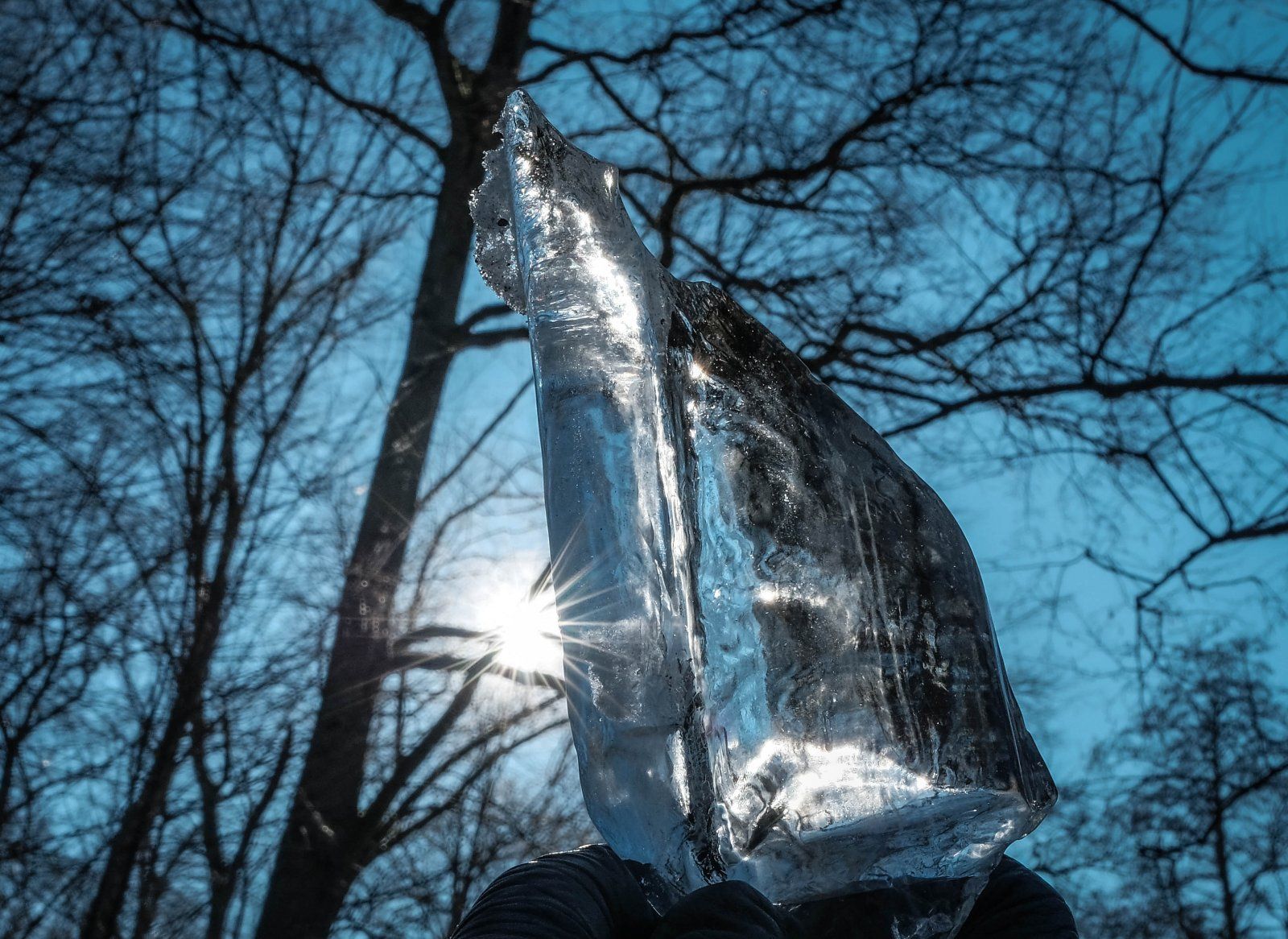 XT226530.jpg