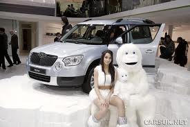 yeti 1.jpg