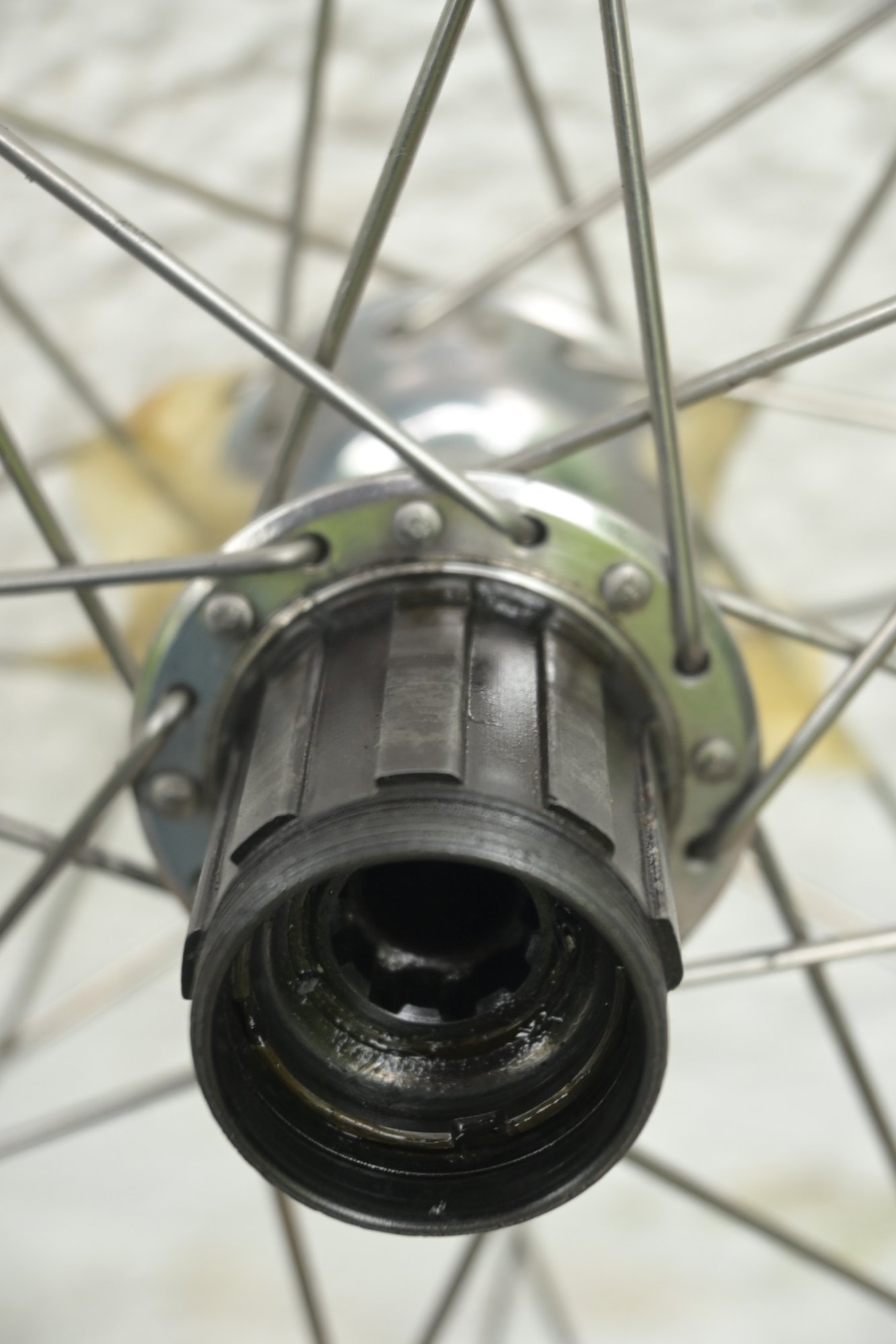 Z50_8672.JPG