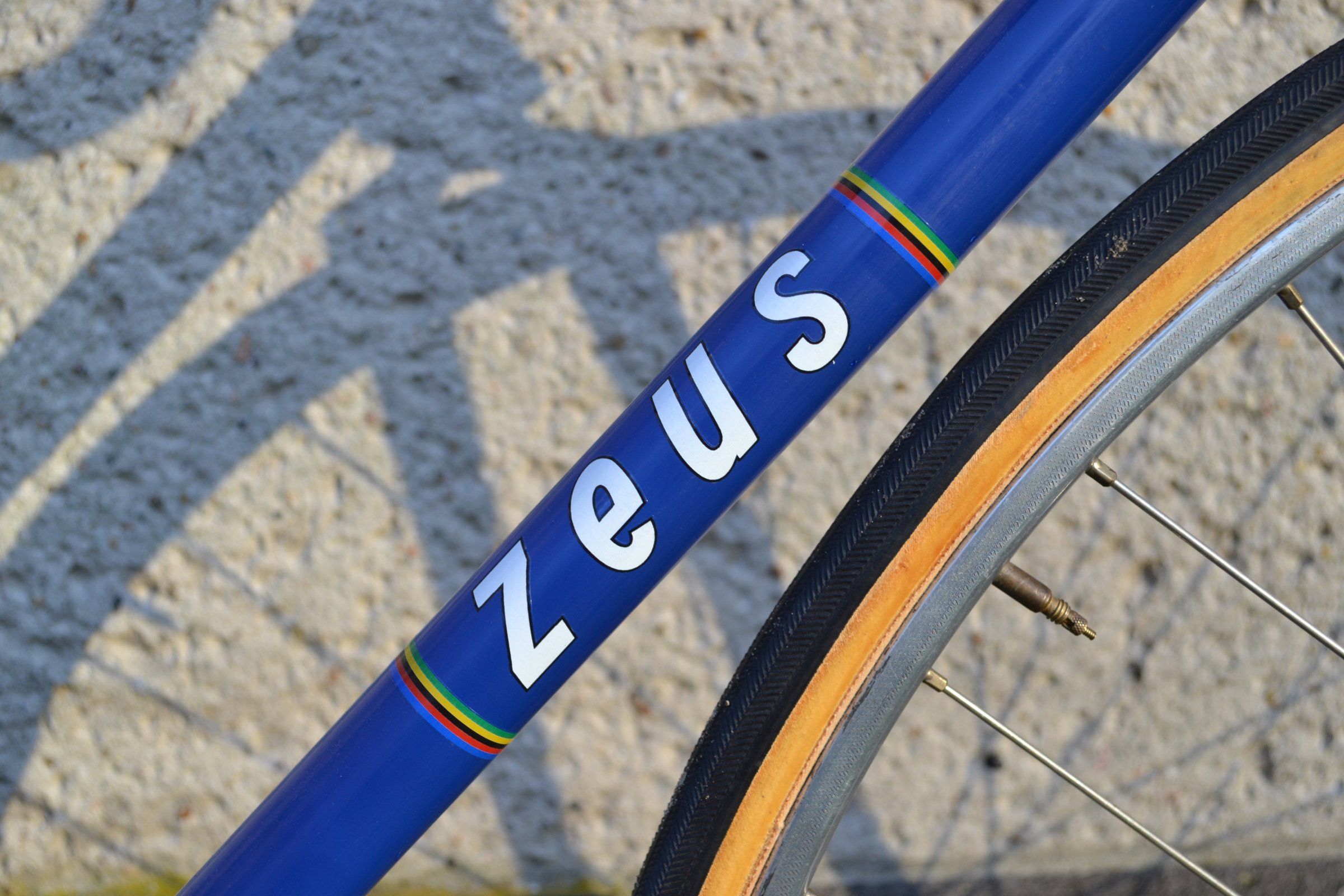 Zeus 19.jpg