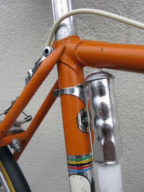 zeus-competition-RDBSsl.JPG
