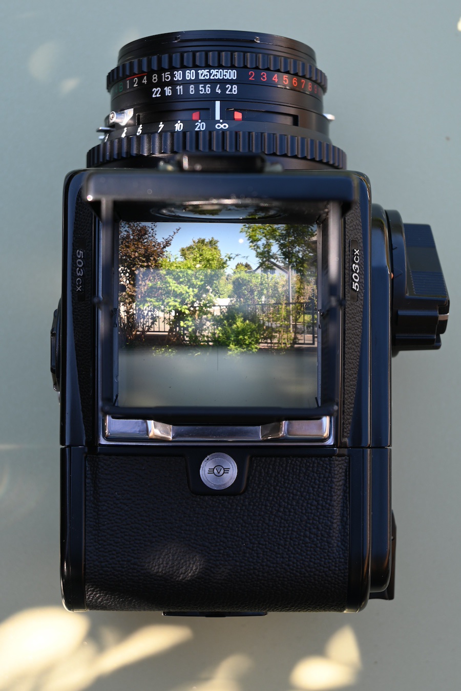 ZFC_1161.JPG