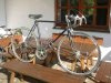 DSCF4074.jpg