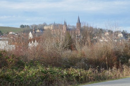 P1000057.JPG