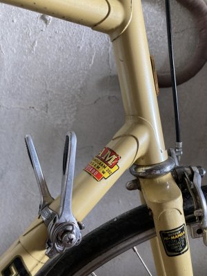 ek-8d90edb17e5945eca826cc6d31c6b549-7475B0DB-A1CA-44B5-ADD4-CC253D223725[3753].jpg