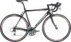aspin_3_ _10.jpg