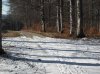 DSCF0157.jpg