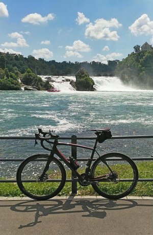 Specialized Roubaix.jpg