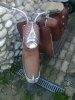 Bild 215.jpg