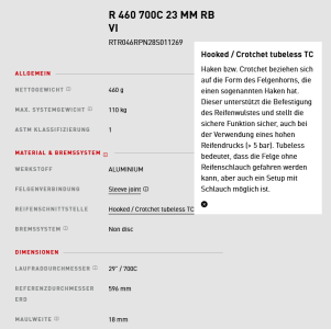 Screenshot 2022-08-12 at 21-17-08 R 460 DT Swiss.png