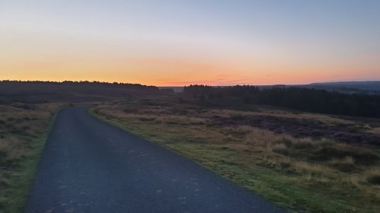 20220808_050439.jpg