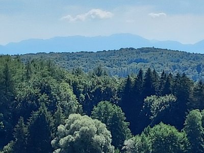20220823_121133.jpg