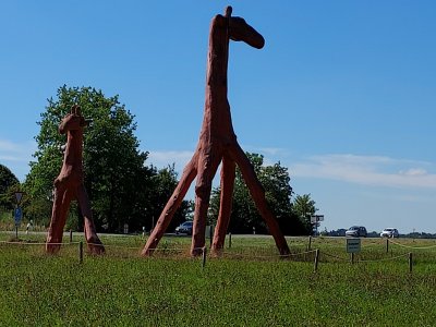 20220825_141343.jpg