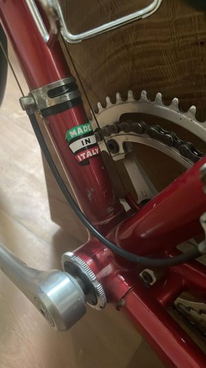 bianchi3.jpeg