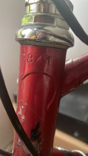 bianchi6.jpeg