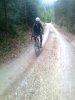 Bild 273.jpg