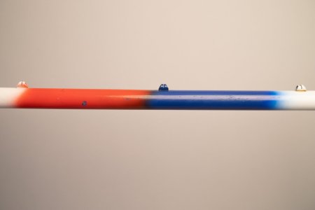 IMG_8878.jpg