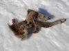DSC07899.jpg