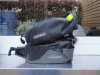 dsc02986ortlieb.jpg