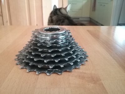 20230326_153421.jpg