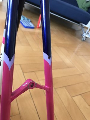 IMG_2098.jpeg
