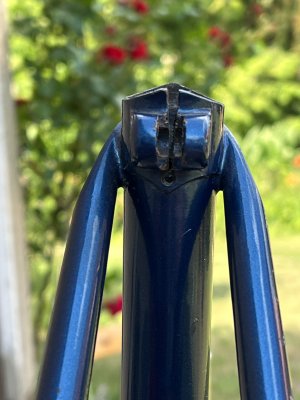 IMG_0867.jpeg