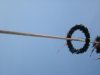 DSC01463.jpg