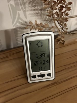 IMG_1537.jpeg