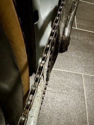 IMG_1372.jpeg